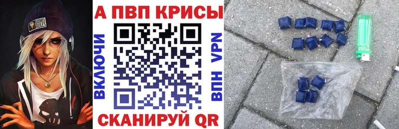 Альфа ПВП СК Калининец