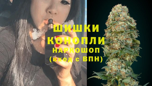 стаф Беломорск