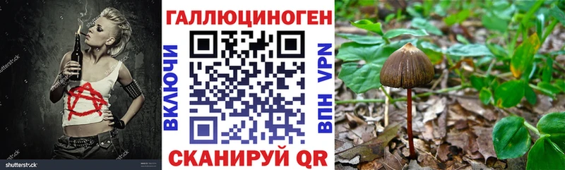 закладка Калининец Галлюциногенные грибы мицелий